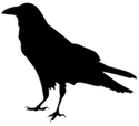 Crow drawing in silhouette