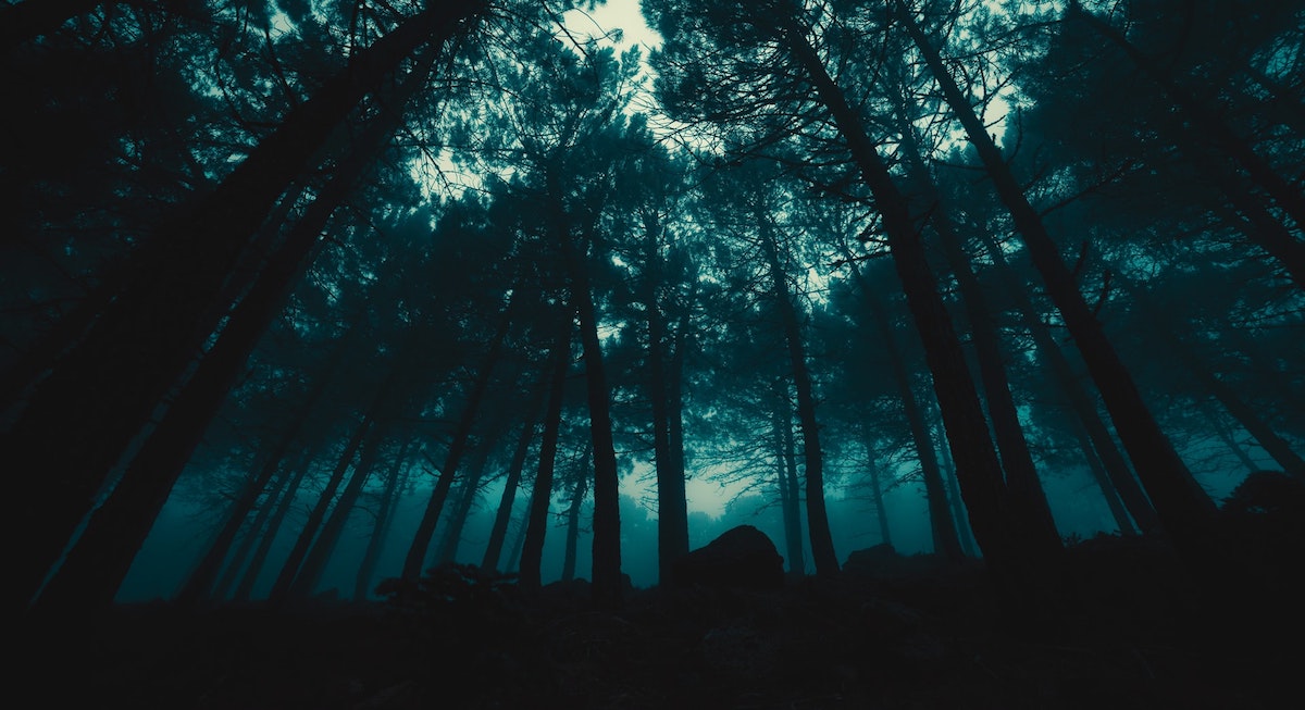 fear of a dark forest