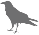 transparent crow logo
