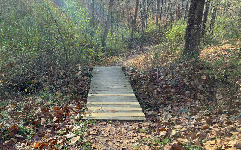 a wooden bridge crossing over a creek in the middle of the woods on a nature trail